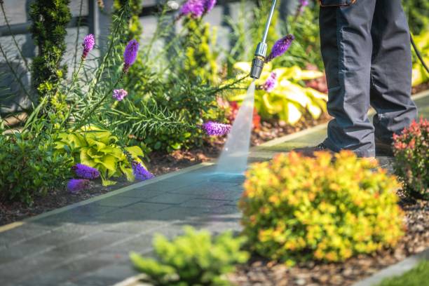Best Dumpster Area Cleaning  in Marinette, WI